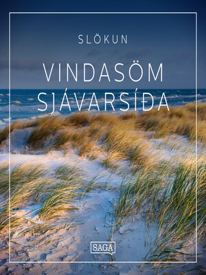 cover image of Slökun—Vindasöm sjávarsíða